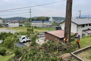 三次市四捨貫町 / ヒノキ8本の伐採と搬出 三次市四捨貫町 / ヒノキ8本の伐採と搬出