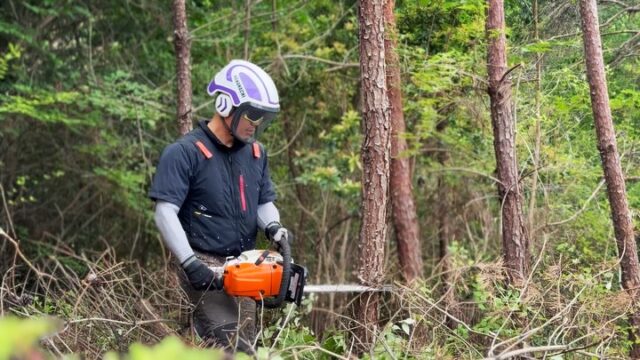 【枯松伐採 / 集積 / 棚積み】
⁡
広島県内にあるゴルフ場にて4日間の枯松の伐採です🌲
⁡
現地調査無しでドキドキで入らせていただきましたが ほぼ太さはなく灌木サイズの松が多く、エンジンウインチで牽引するシーンもありましたが ほぼ手押しかロープかけて引っ張って伐倒する現場です🫶🔥🔥
⁡
このまま残り2日間 頑張ります😎🌱
これが終わったら弊社に依頼が来た個人宅様の危険木の伐採が5日間あったり、1日で完工できる危険木の伐採や枝下ろしの現場が数件と山仕事に中々 戻れませんが引き続き 頑張ります💪✨️
⁡
𓇠𓇠𓇠𓇠𓇠𓇠𓇠𓇠𓇠𓇠𓇠
⁡
【求人募集】

弊社では現在、一緒に働いてくれる仲間を探しています💪🔥
主に広島県北部(庄原、三次、三原)で造林保育事業を行っております🌲
⁡
詳しい求人情報はInstagramのプロフィールからHPにアクセスしていただくか、「三次市 株式会社七八」と検索していただければ出てきます🫡✨
⁡
山仕事、マジで楽しいですよ🤝
⁡
⁡応募方法は、
⁡●InstagramのDM
●HPのお問い合わせ(電話 / 公式LINE)
上記の方法にてご応募 お待ちしております🙏

#林業 #求人 #庄原市 #三次市 #安芸高田市
