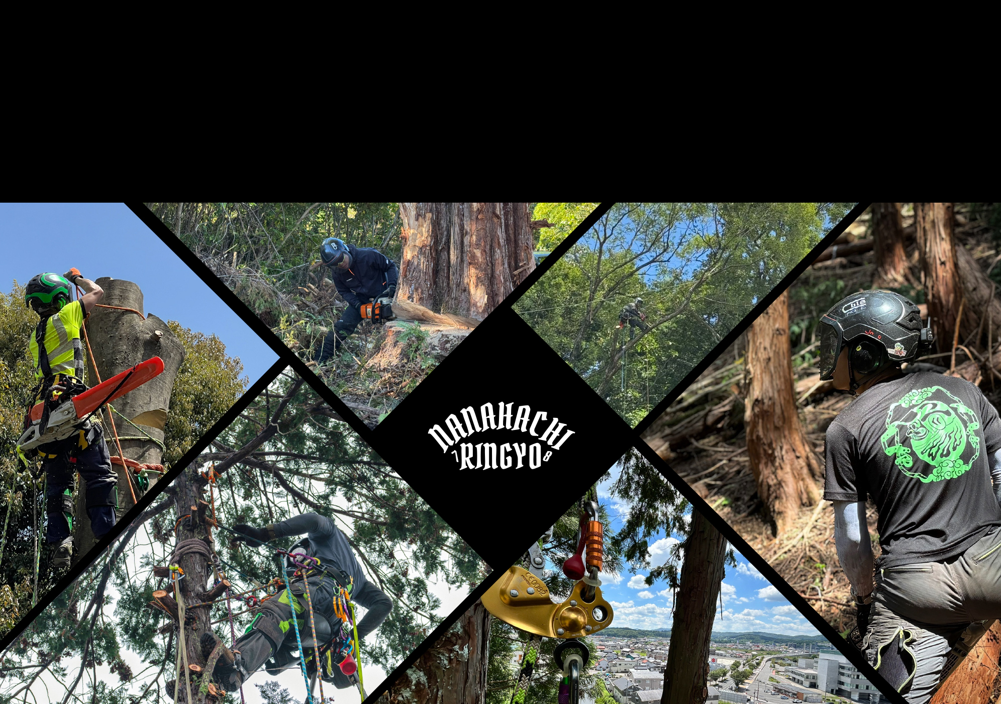 広島県三次市の伐採・林業｜株式会社七八