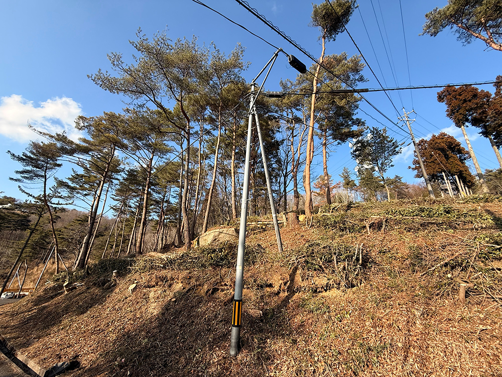 森づくり事業、景観を良くする伐採作業