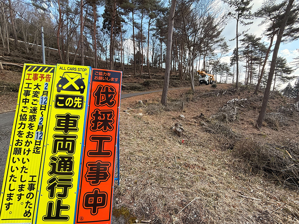 森づくり事業、景観を良くする伐採作業