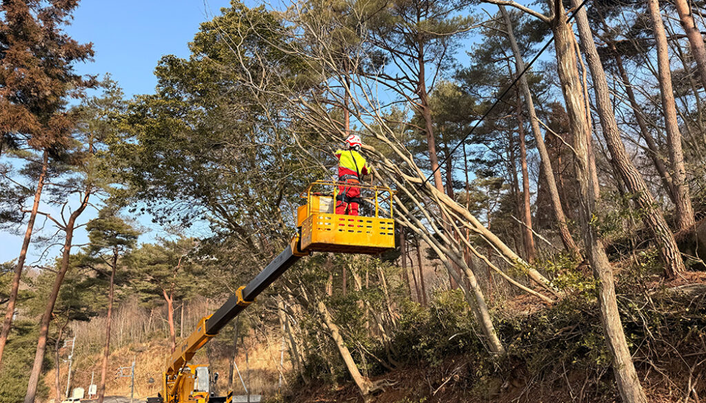 森づくり事業、景観を良くする伐採作業