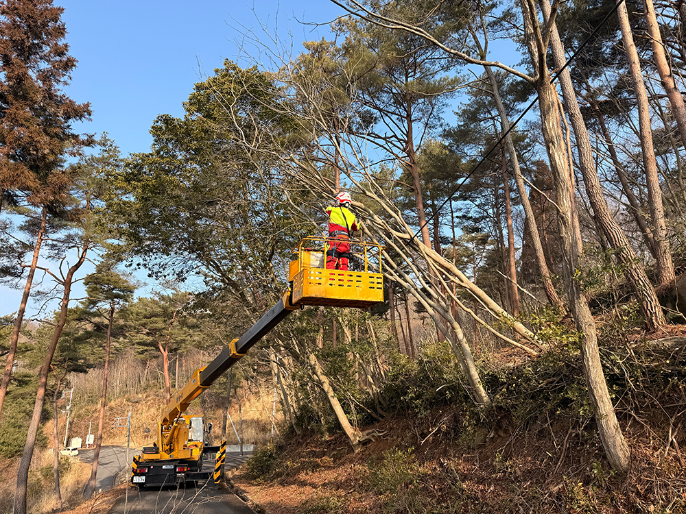 森づくり事業、景観を良くする伐採作業